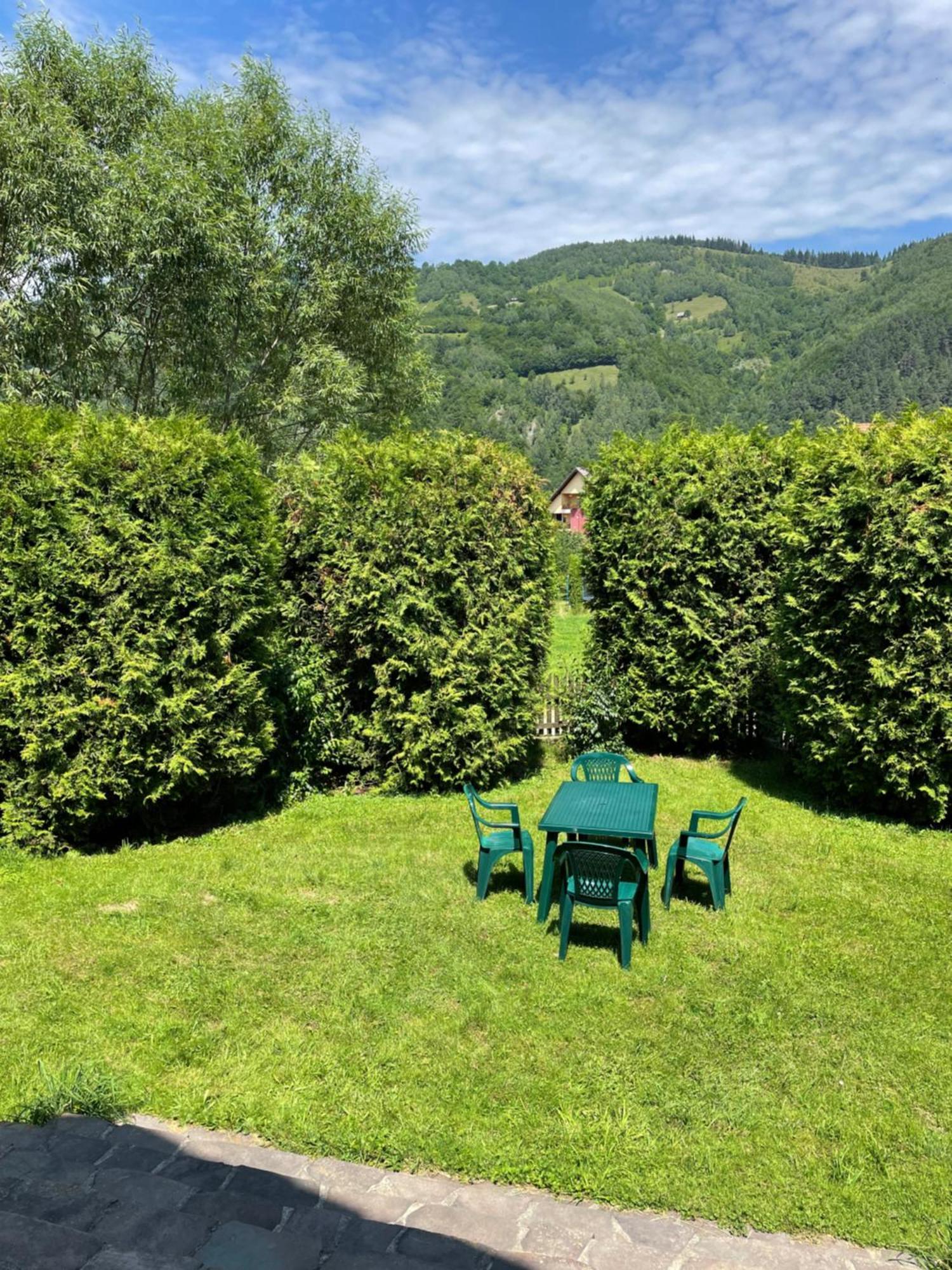 Homy Family House Villa Bran  Buitenkant foto