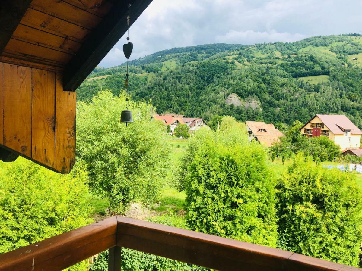 Homy Family House Villa Bran  Buitenkant foto