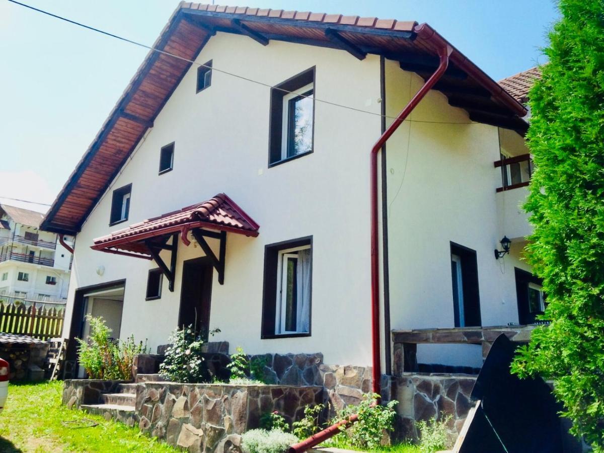 Homy Family House Villa Bran  Buitenkant foto